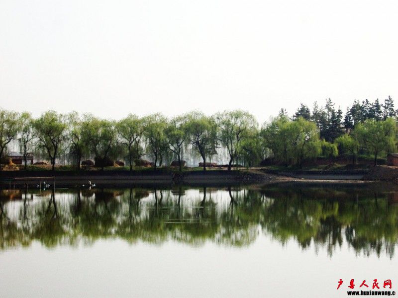 SNV89609.jpg