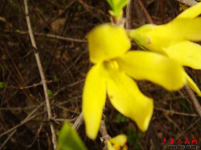 DSC05798.JPG