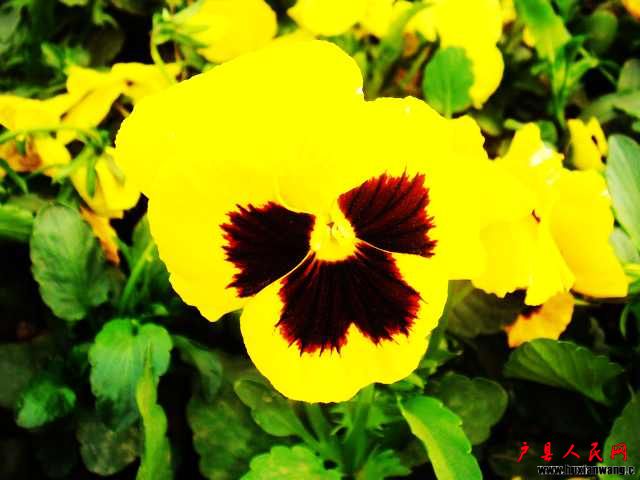 DSC05800.JPG