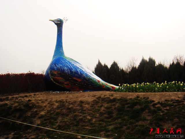 DSC05819.JPG