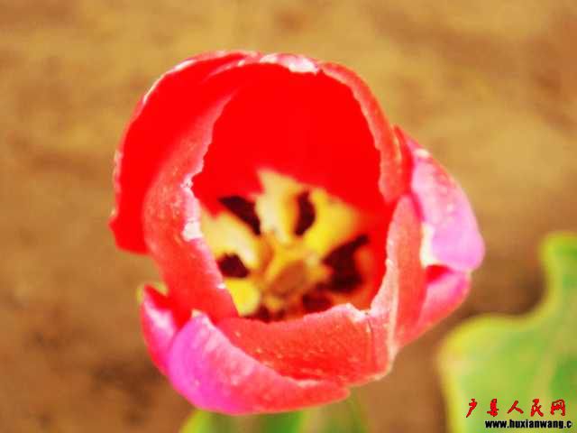 DSC05826.JPG