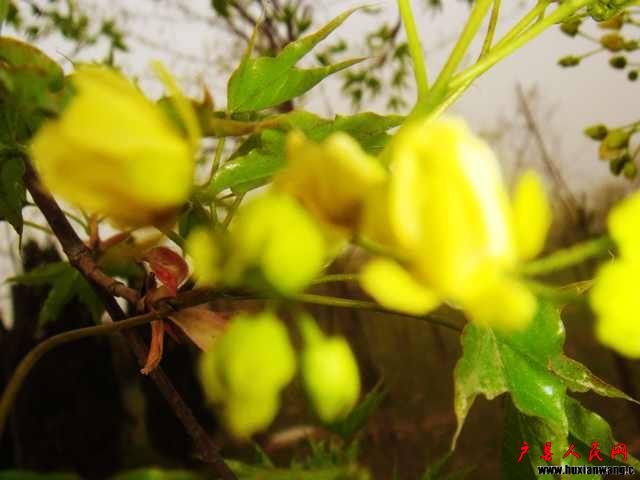 DSC05842.JPG
