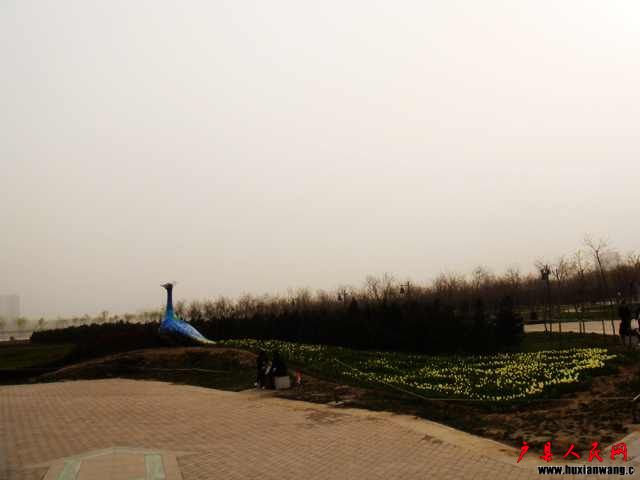 DSC05815.JPG