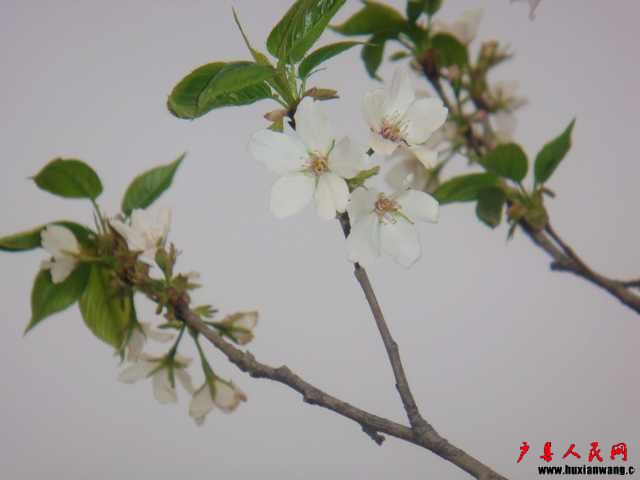 DSC05845.JPG