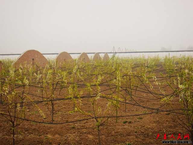 DSC05850.JPG