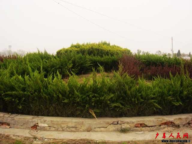 DSC05849.JPG