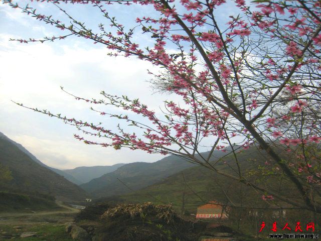 Ƭ 025.jpg