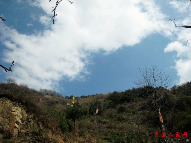 Ƭ 109.jpg