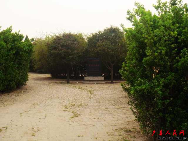DSC05976.jpg