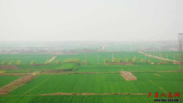 DSC05942.JPG