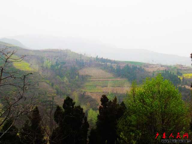 DSC06021.JPG