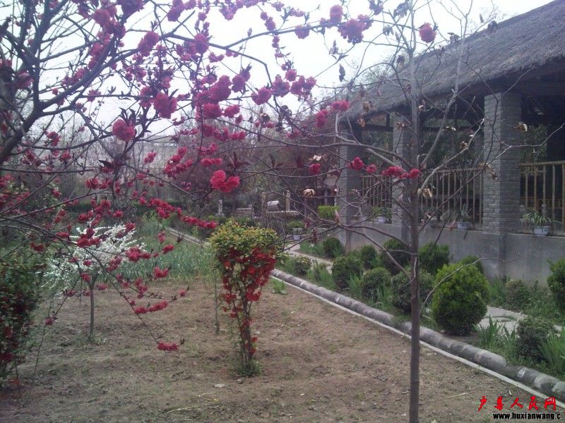 Ƭ 028.jpg