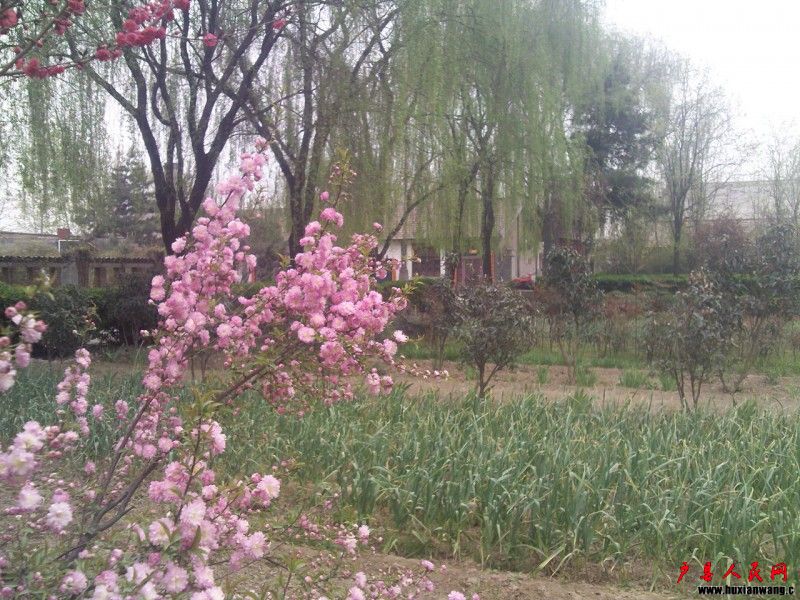 Ƭ 030.jpg