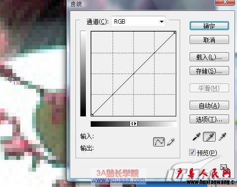 ޱ3.JPG