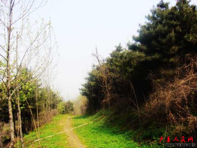 DSC06104.JPG