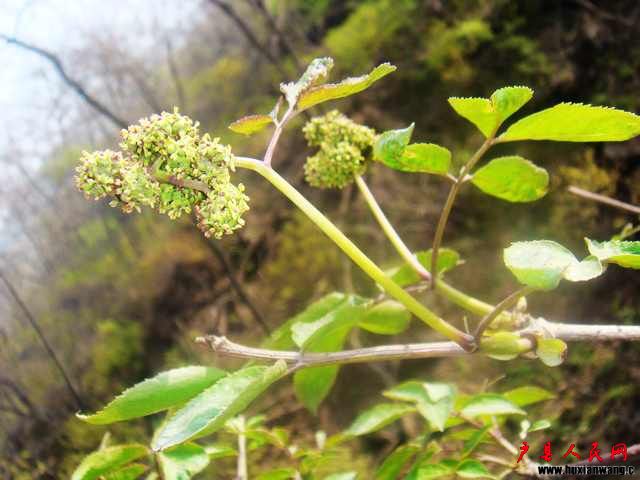 DSC06100.JPG
