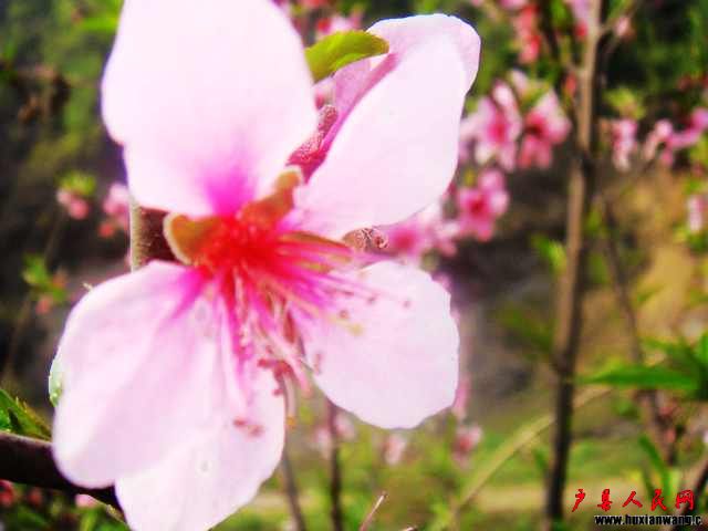 DSC06105.JPG