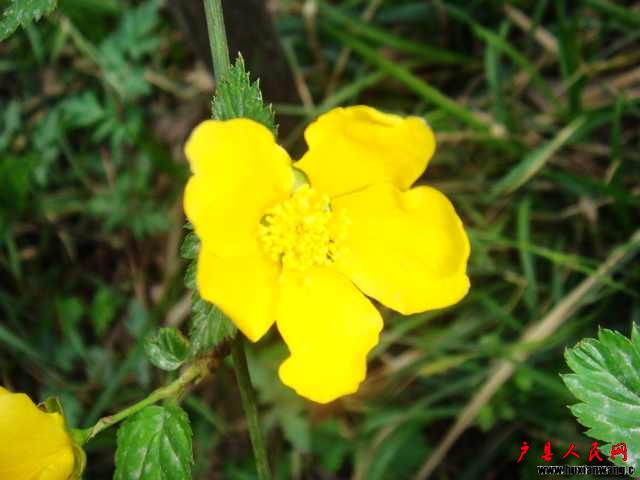 DSC06068.JPG