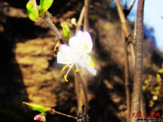 DSC06085.JPG
