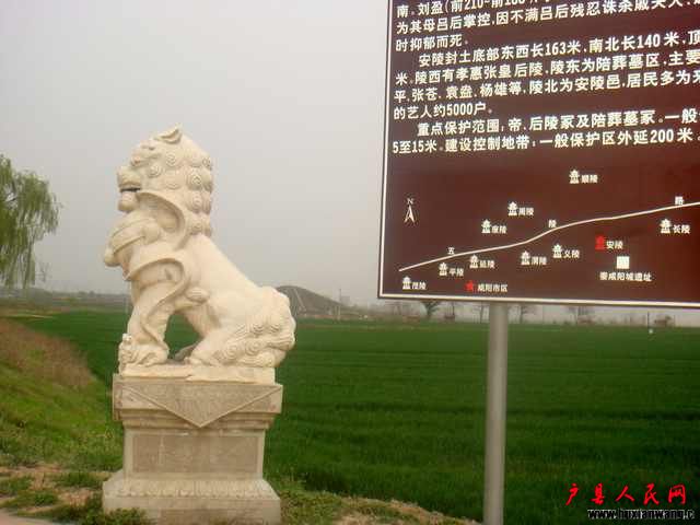 DSC06145.JPG