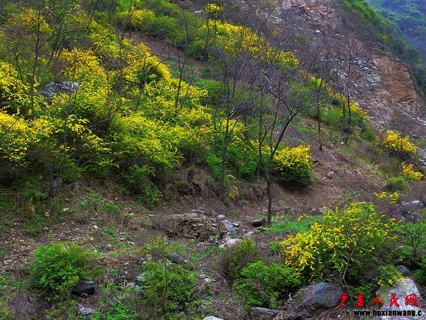 P1040591.jpg