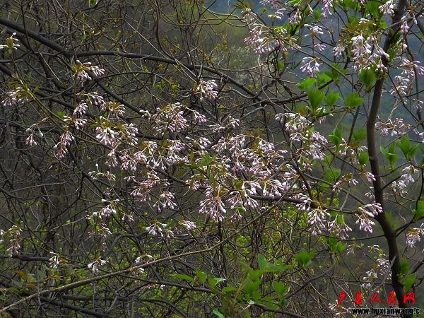 P1040640.jpg