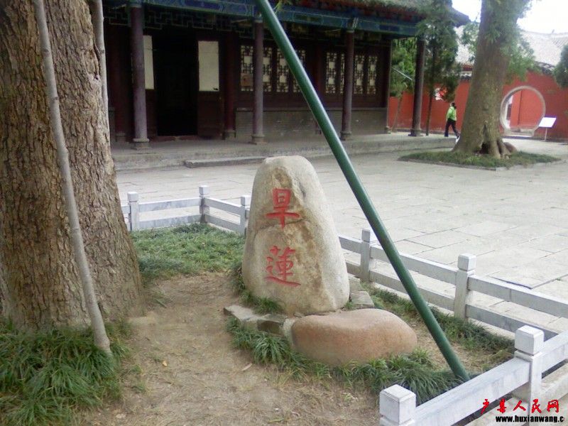 PIC-0025.jpg