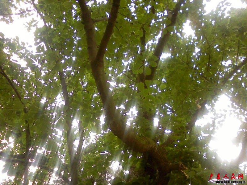 PIC-0028.jpg