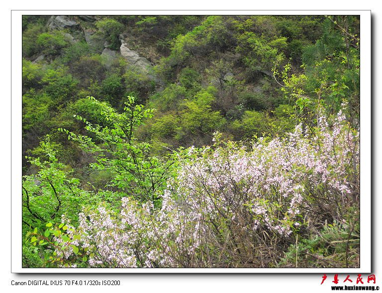 nEO_IMG_10.4.10--Խ 054.jpg
