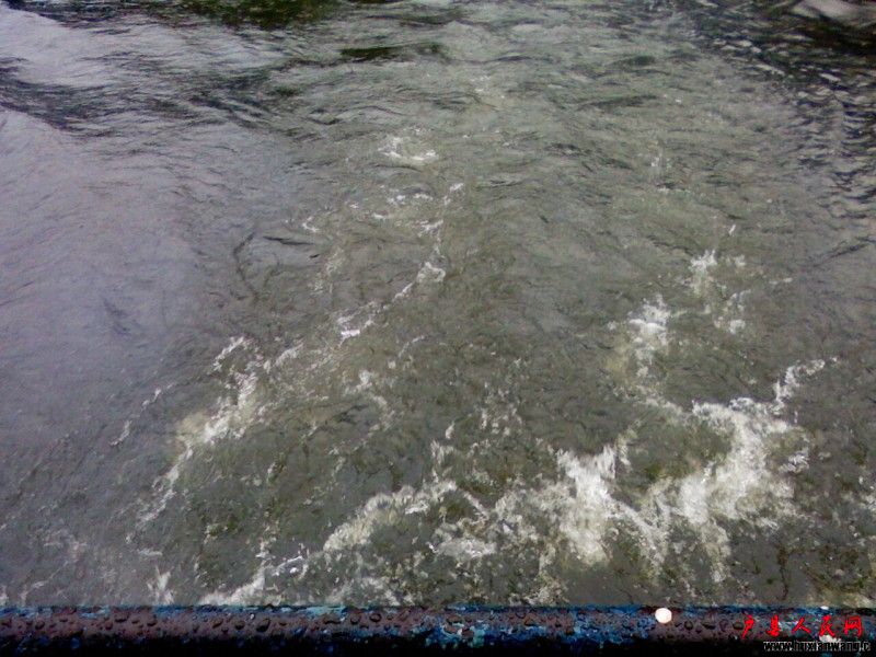 PIC-0068.jpg