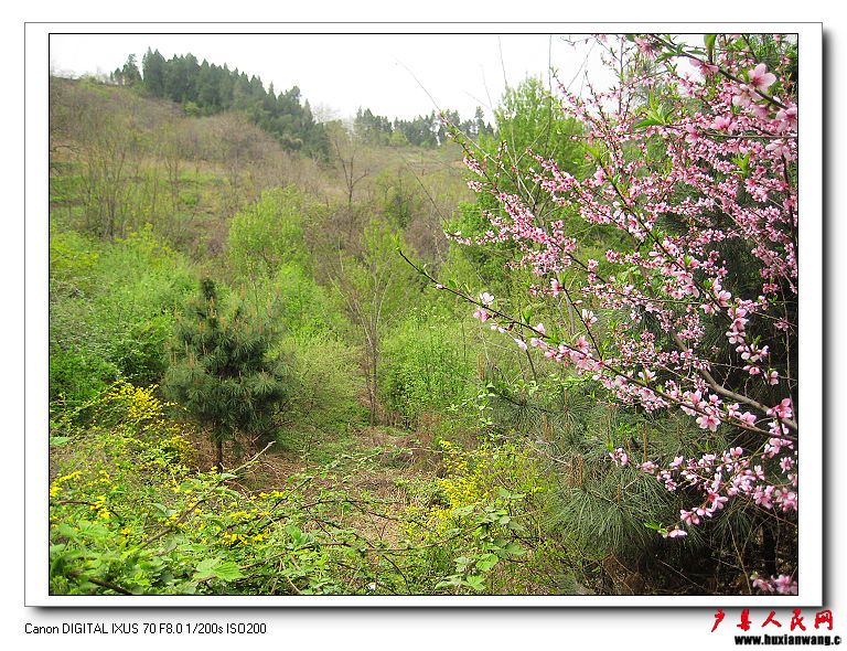 nEO_IMG_10.4.10--Խ 113.jpg