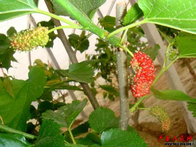 DSC06199.JPG