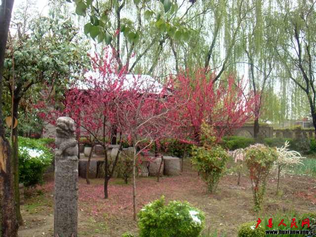 DSC06219.JPG