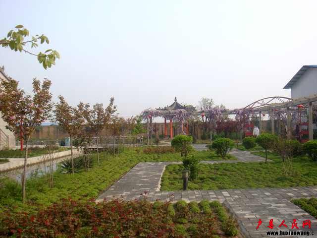 DSC06238.JPG