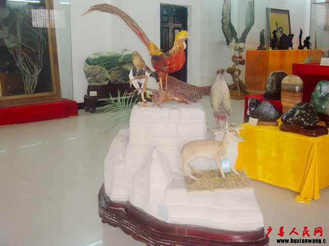 DSC06267.JPG