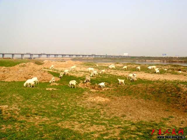 DSC06300.JPG