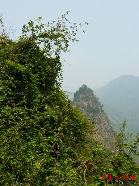 P1040847.jpg