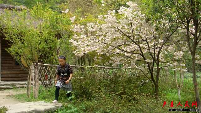 DSC06630.jpg