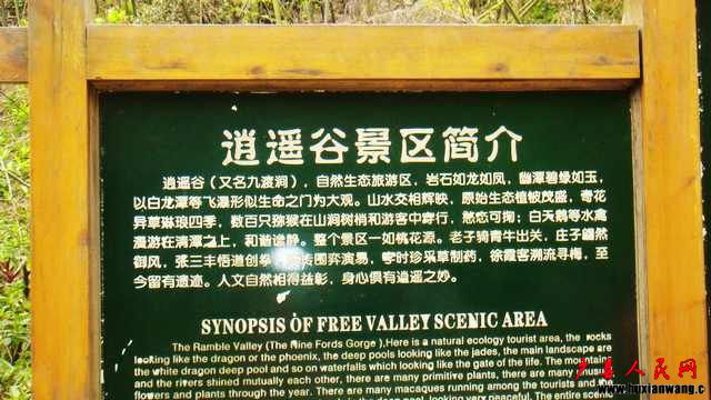 DSC06640.jpg
