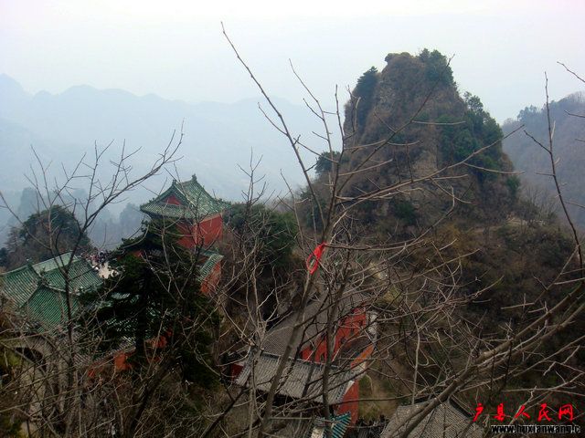 DSC06571.jpg
