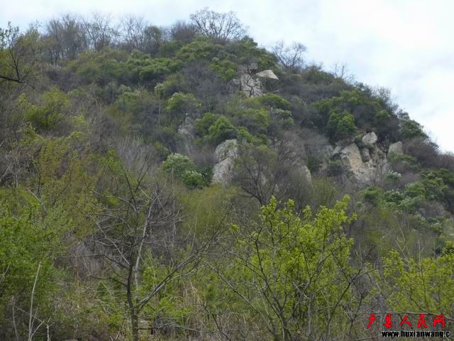 С P1000241.JPG