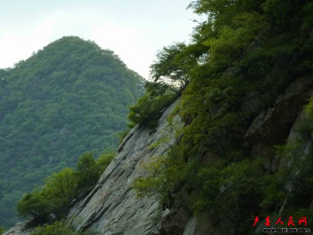 С P1000257.JPG