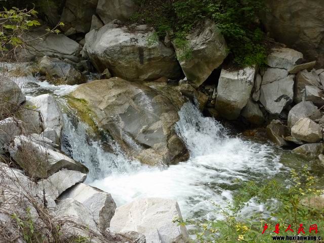 С P1000118.JPG