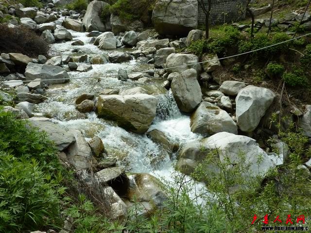 С P1000115.JPG