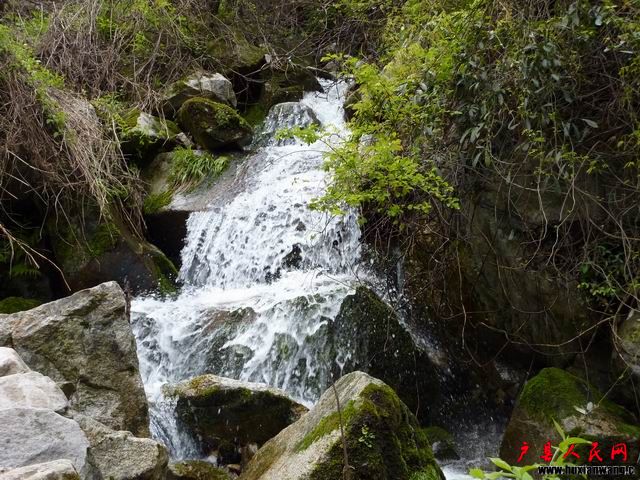 С P1000129.JPG