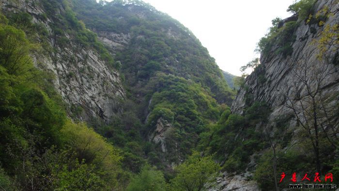 nEO_IMG_DSC02498.jpg