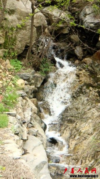 DSC06706.JPG