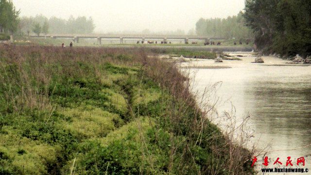 DSC06740.JPG