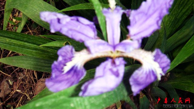 DSC06732.JPG