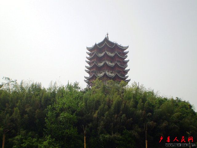P4220047.JPG